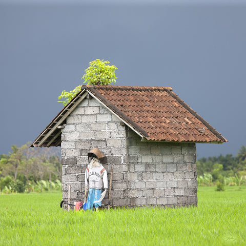 303 Rice Hut with Scarecrow, Bali Rice Fields (Square Print)