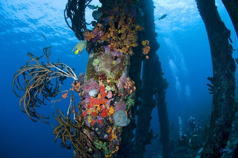 101 Bonaire Salt Pier